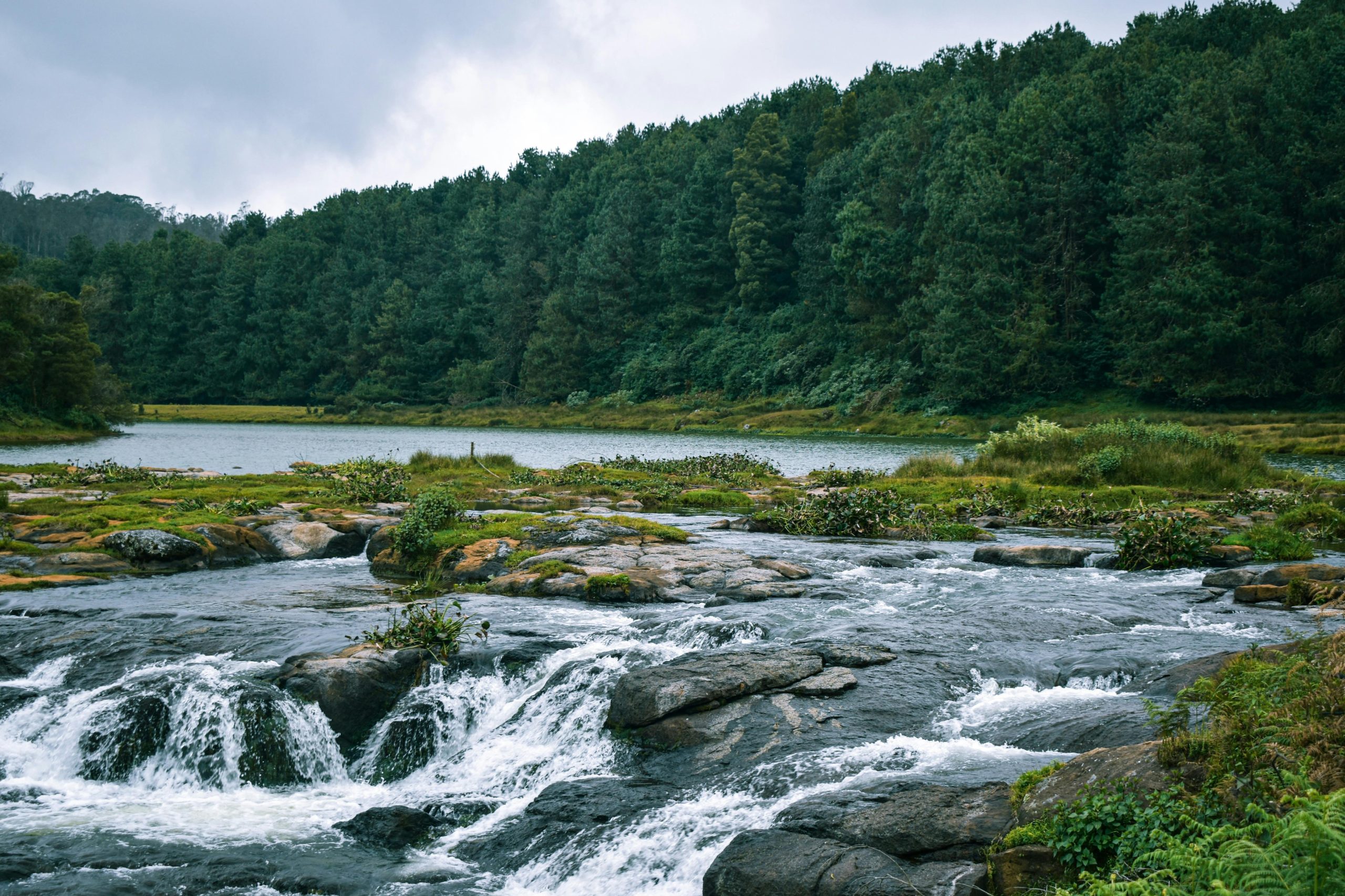 Serene view of Pykara Lake with lush greenery and flowing water in Ooty, India.