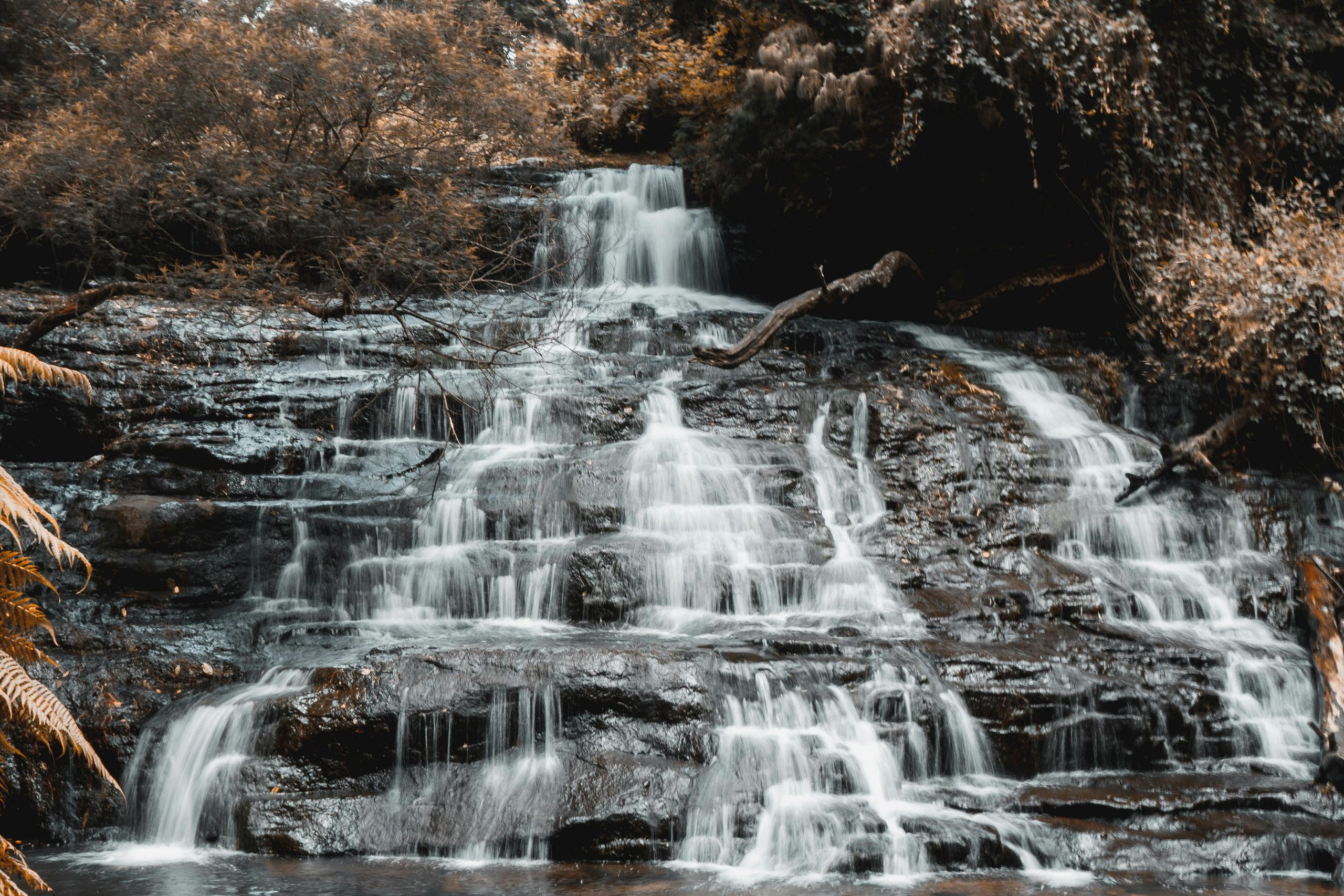 Beautiful cascading waterfall in the vibrant forest of Kodaikanal, India, showcasing nature's serene beauty.